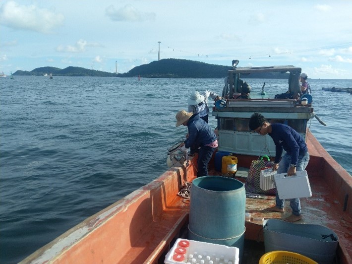 Khảo sát, đo đạc thực địa vùng nuôi biển Kiên Giang
